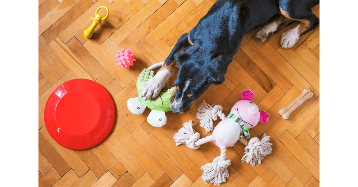 Indestructible dog toys vs tough toys laid out for a power-chewing large dog